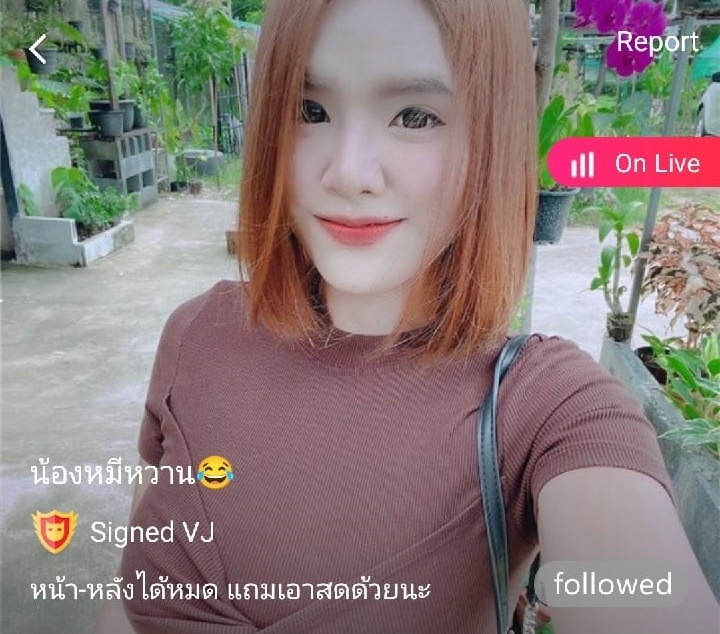 น้องหมีหวาน mlive