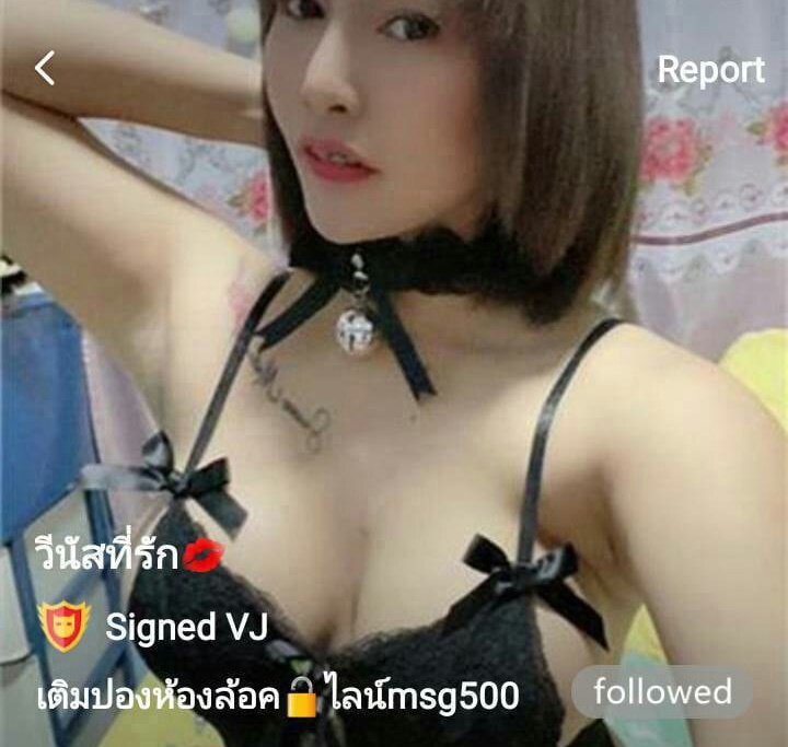 วีนัส mlive