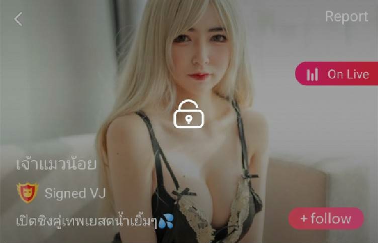 เจ้าแมวน้อย mlive