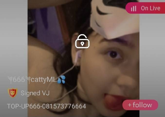 cattyML mlive