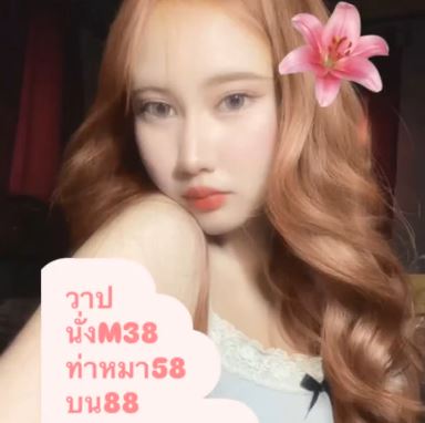 IDOLbumbi thlive/ช้างlive