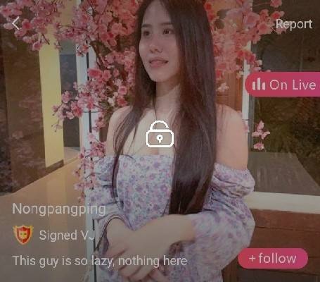 nongpangping mlive
